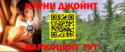 молекула духа Вышний Волочёк